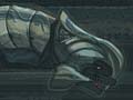 __the_arbiter__.jpg