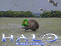 wombat_evolved.jpg