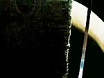 skelwallpapernologo