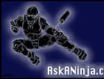 NinjaSpartanDotCom