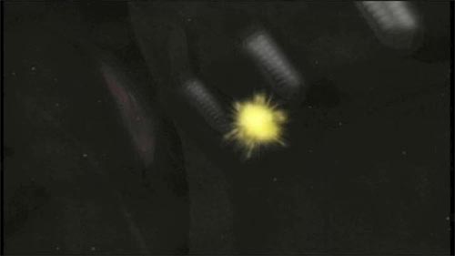 Flood Spore