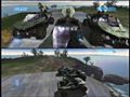 3hogs_scartog